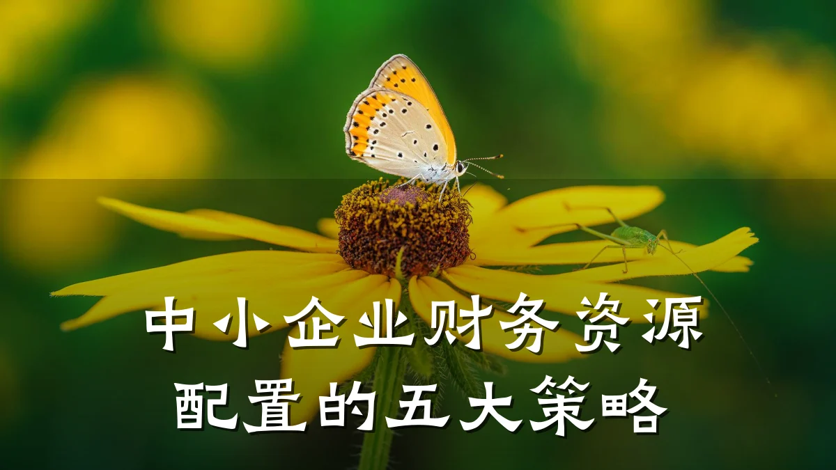 中小企业财务资源配置的五大策略