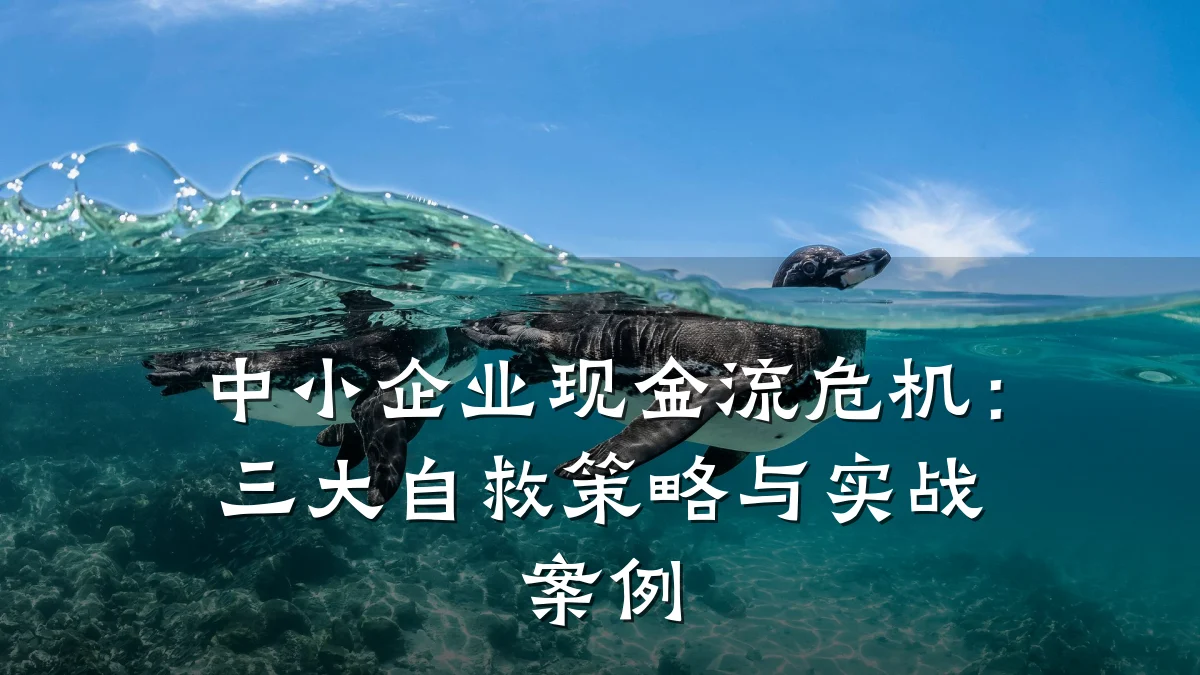 中小企业现金流危机:三大自救策略与实战案例