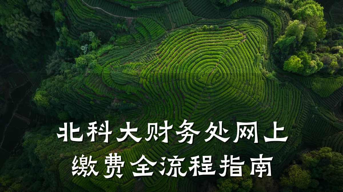 北科大财务处网上缴费全流程指南
