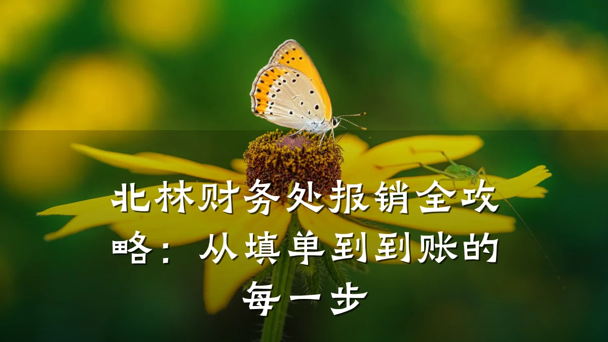 北林财务处报销全攻略:从填单到到账的每一步