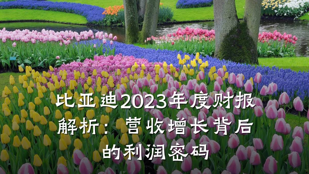 比亚迪2023年度财报解析:营收增长背后的利润密码