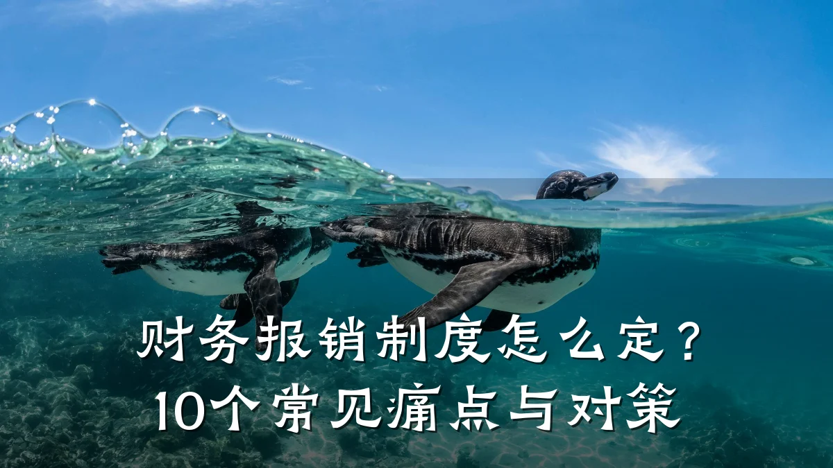 财务报销制度怎么定?10个常见痛点与对策