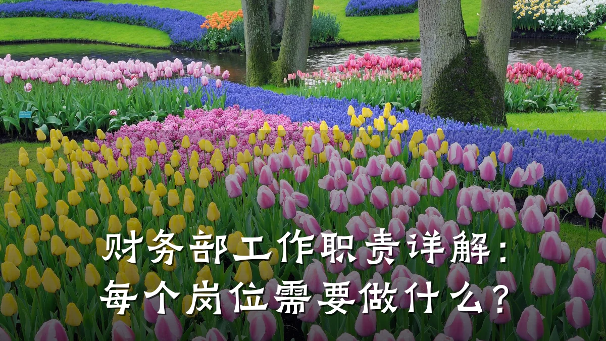 财务部工作职责详解：每个岗位需要做什么？