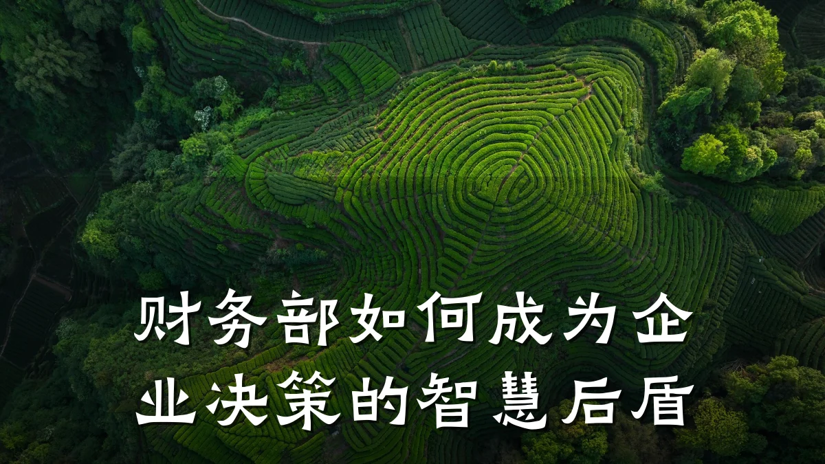 财务部如何成为企业决策的智慧后盾
