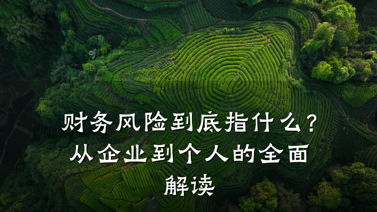 财务风险到底指什么?从企业到个人的全面解读