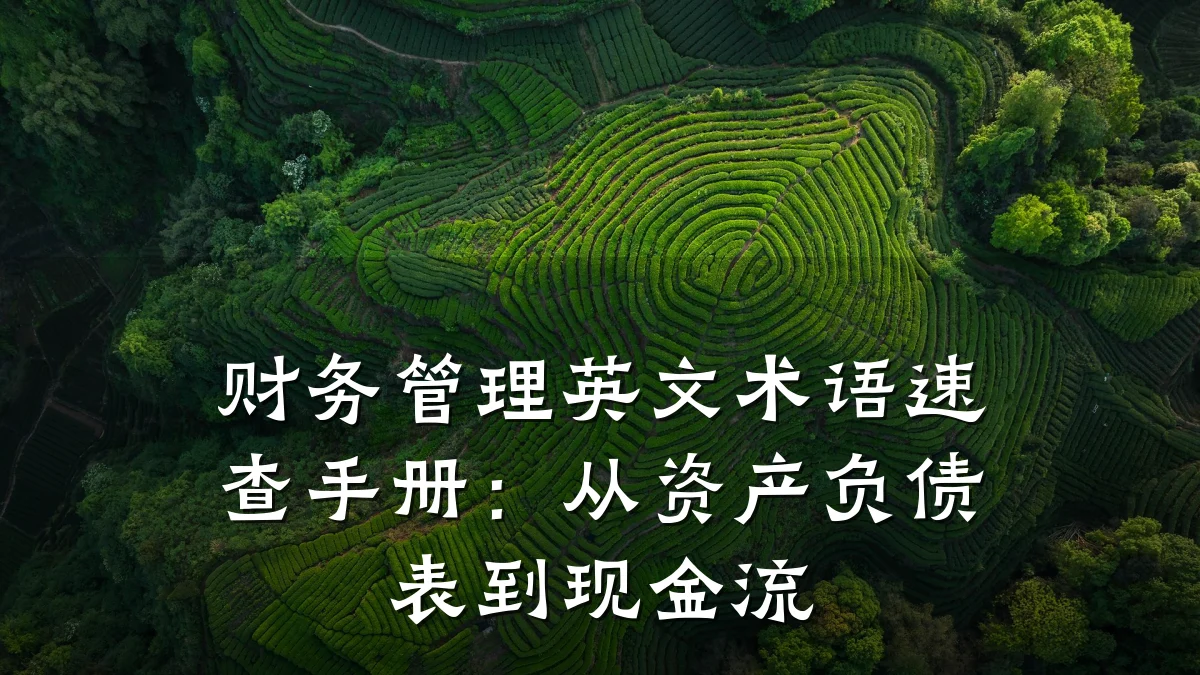 财务管理英文术语速查手册:从资产负债表到现金流