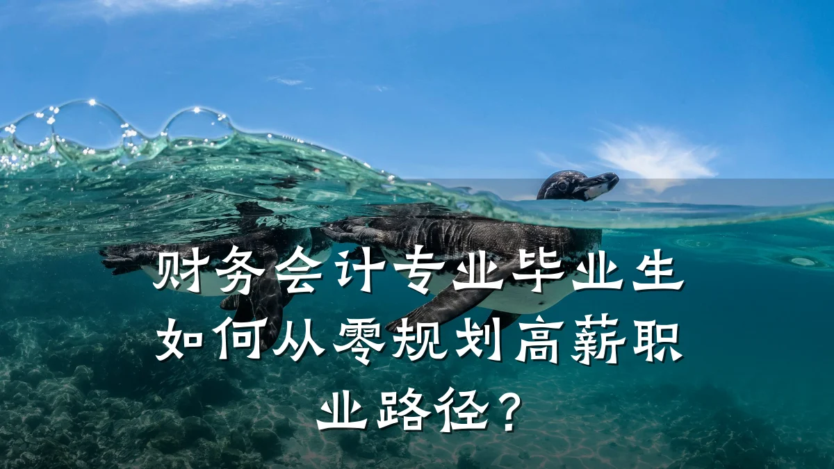 财务会计专业毕业生如何从零规划高薪职业路径?