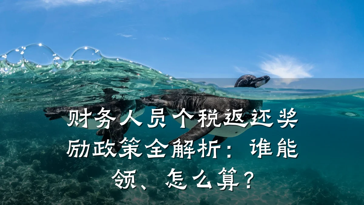财务人员个税返还奖励政策全解析:谁能领、怎么算?