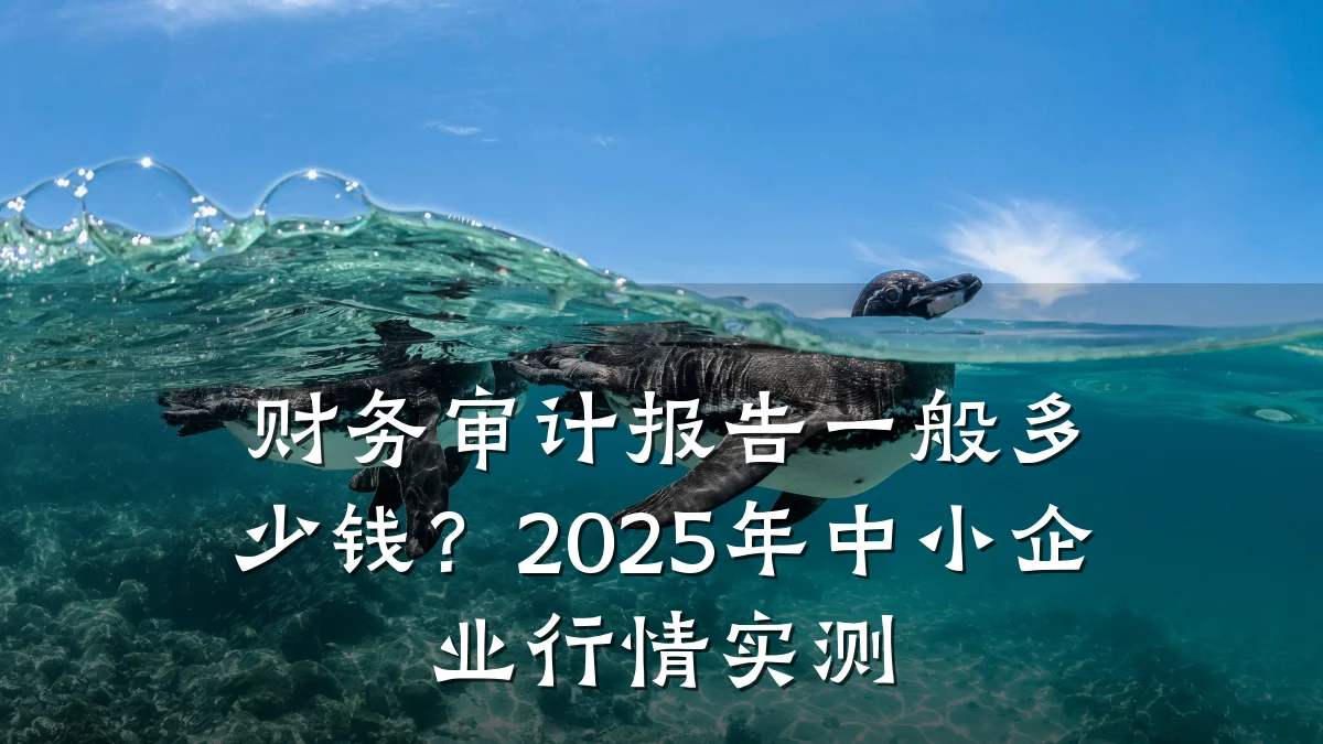 财务审计报告一般多少钱?2025年中小企业行情实测