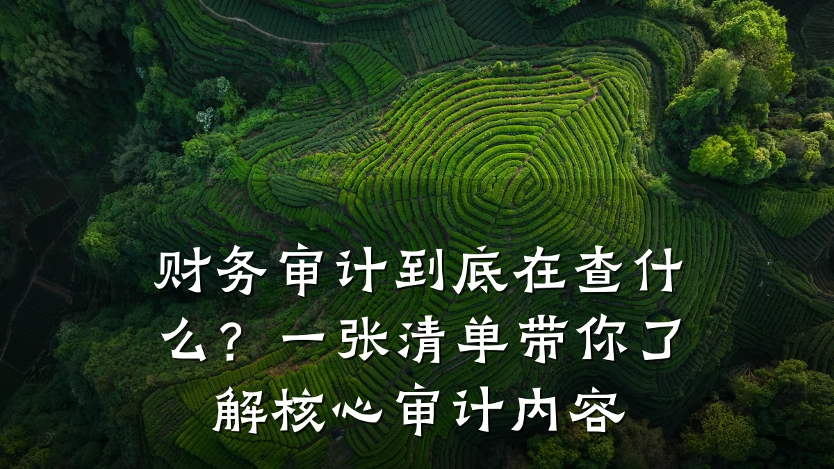 财务审计到底在查什么?一张清单带你了解核心审计内容