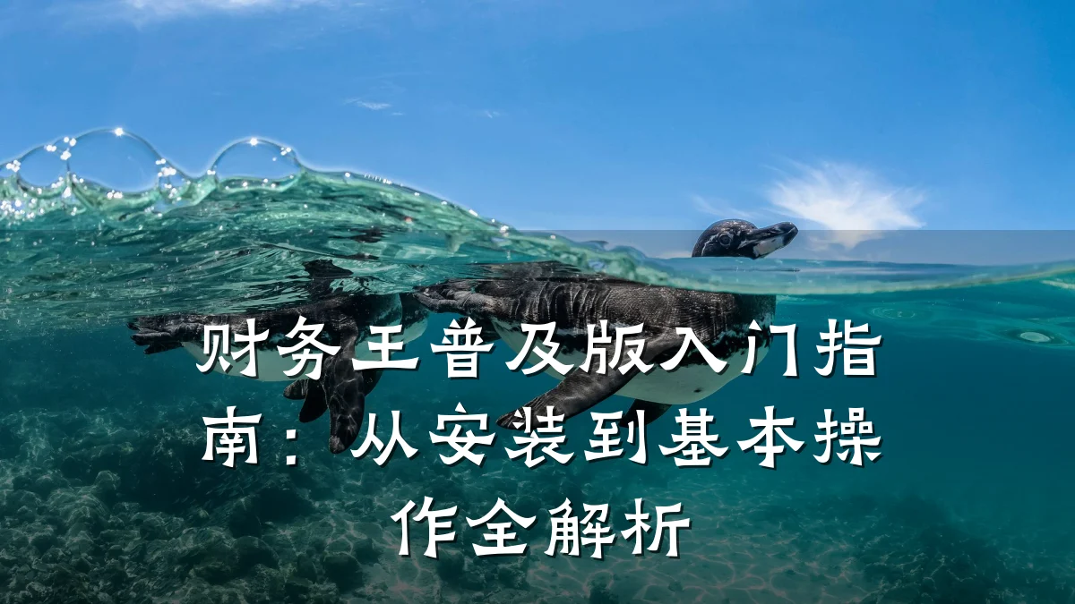 财务王普及版入门指南:从安装到基本操作全解析
