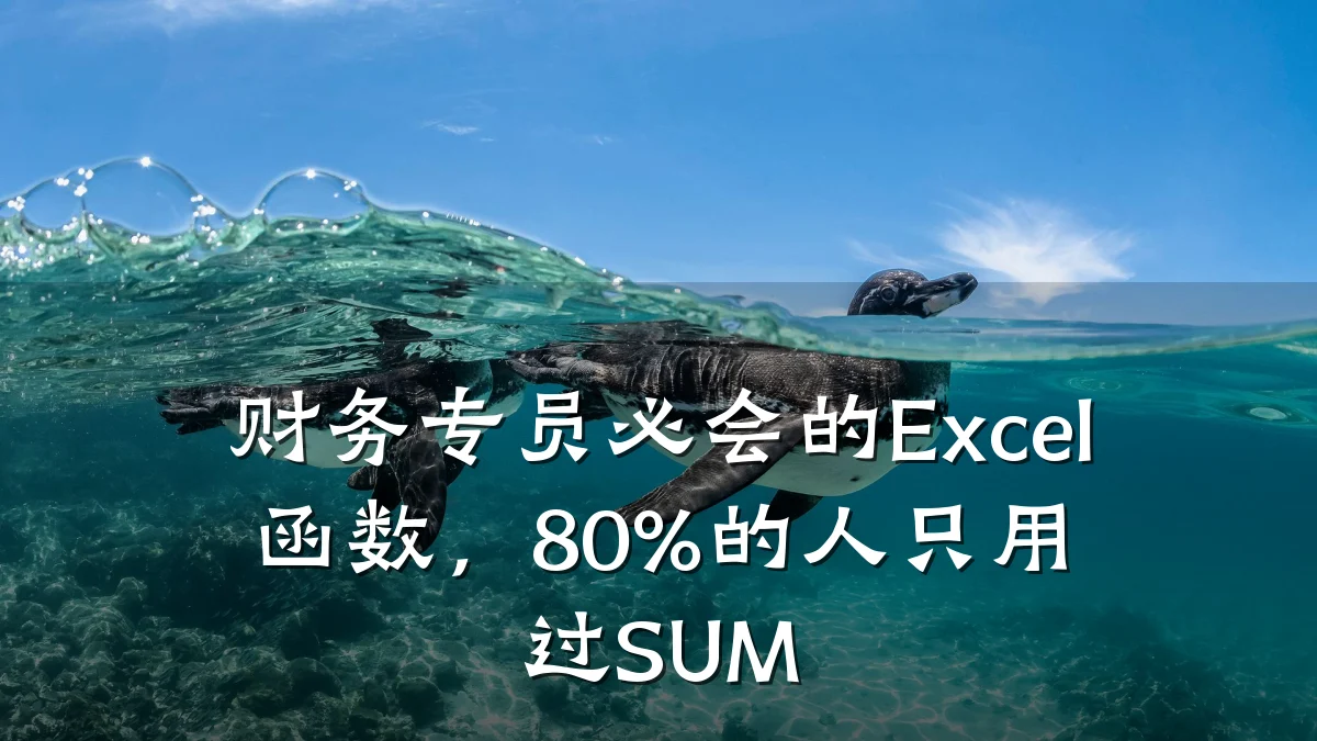财务专员必会的Excel函数,80%的人只用过SUM