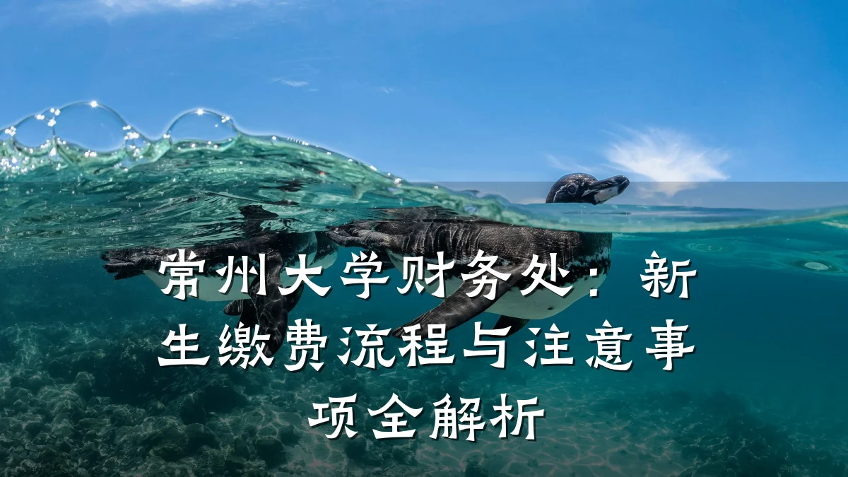 常州大学财务处:新生缴费流程与注意事项全解析