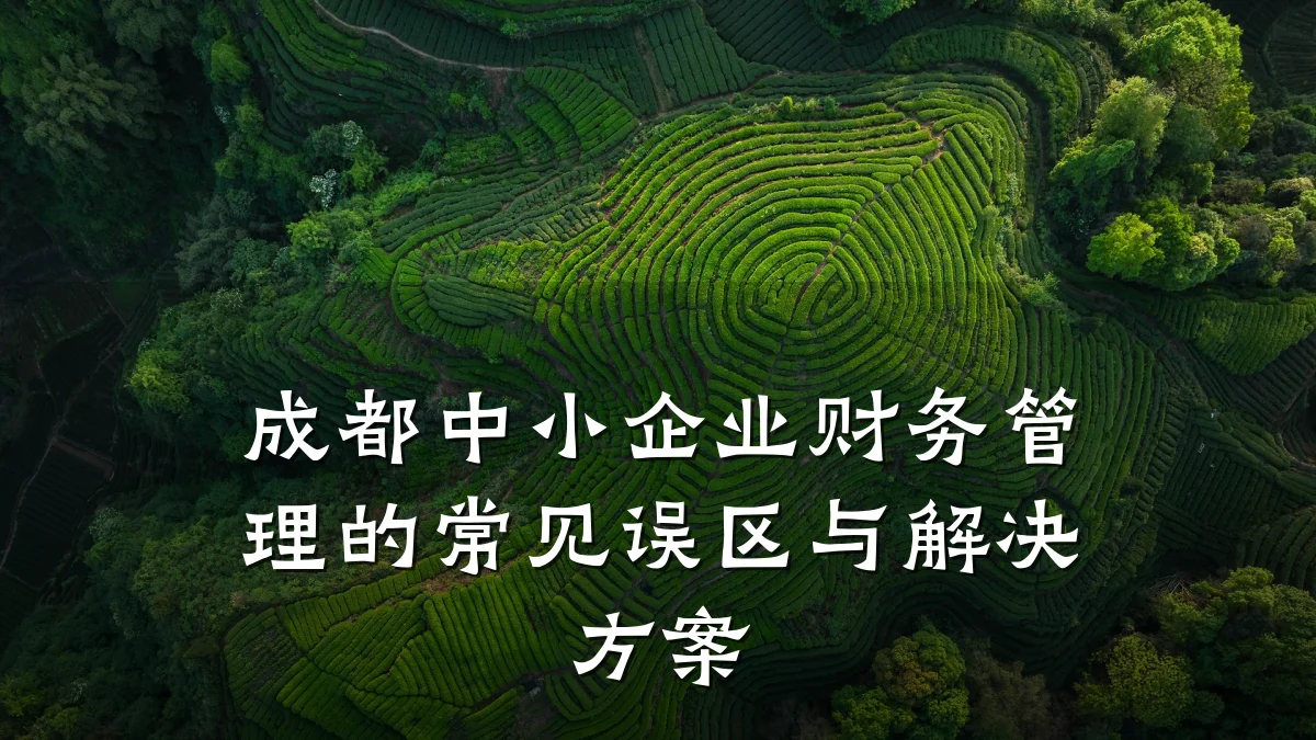 成都中小企业财务管理的常见误区与解决方案