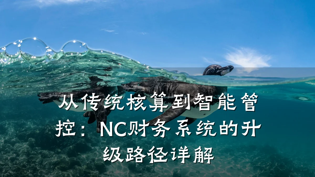 从传统核算到智能管控：NC财务系统的升级路径详解