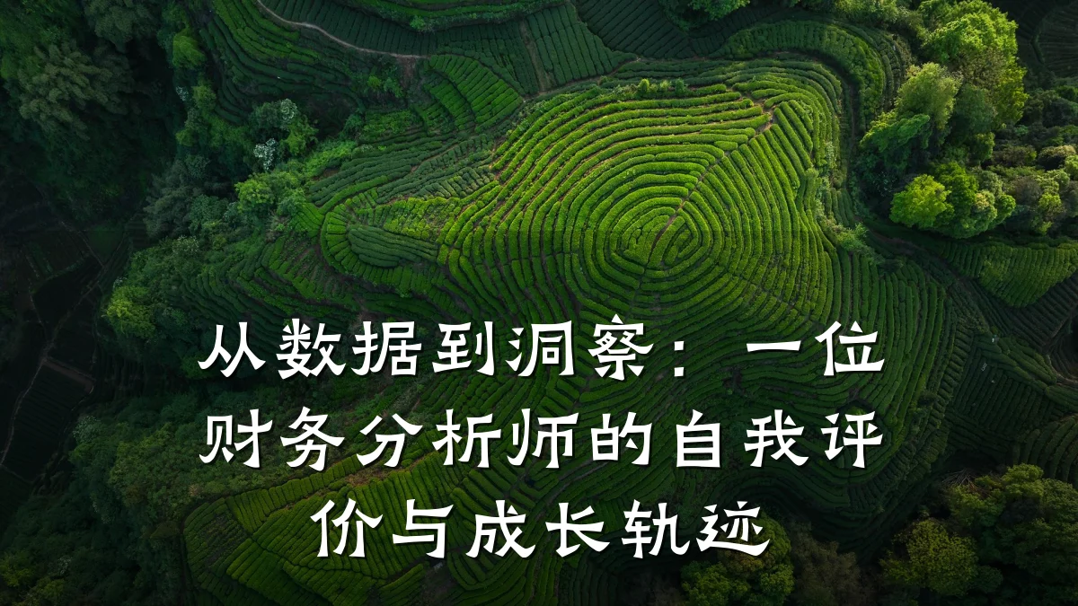 从数据到洞察：一位财务分析师的自我评价与成长轨迹