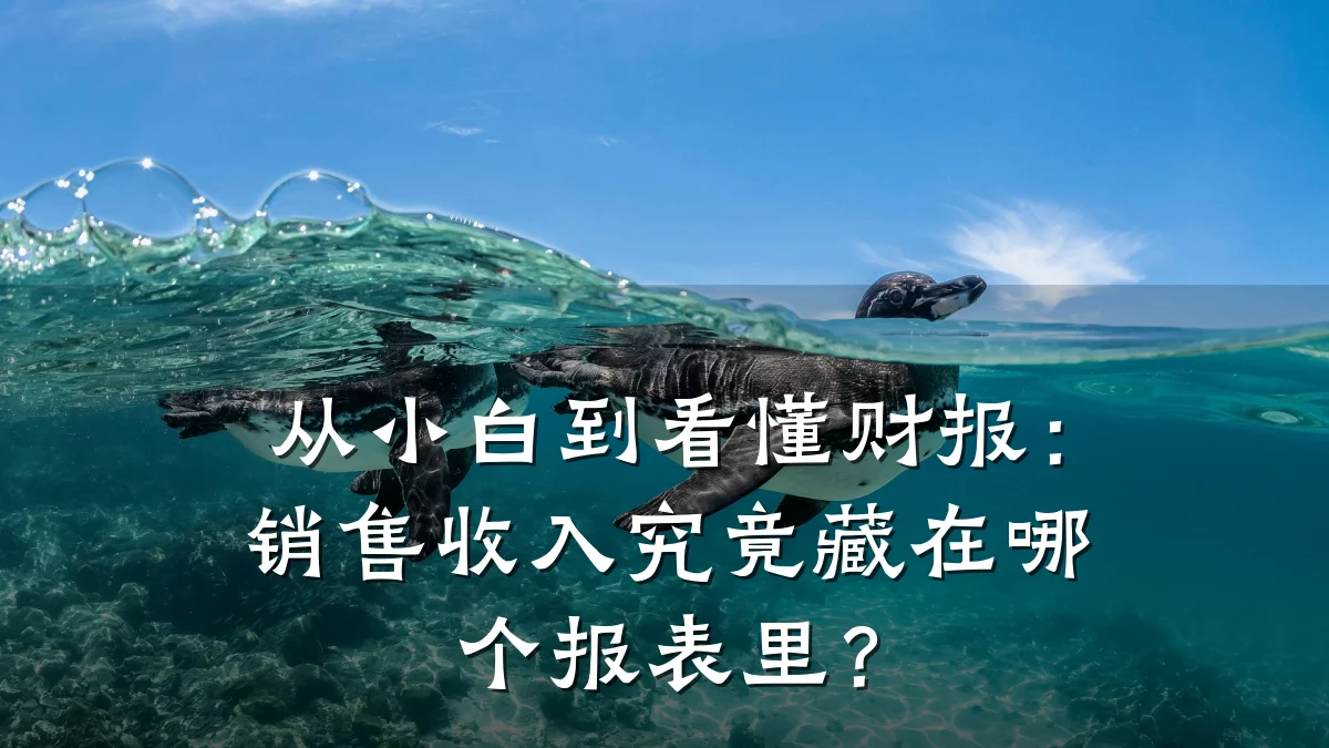 从小白到看懂财报:销售收入究竟藏在哪个报表里?