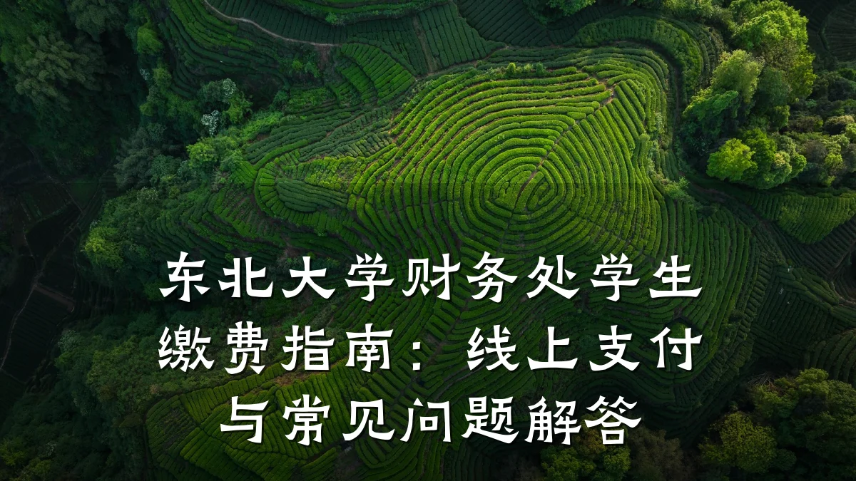 东北大学财务处学生缴费指南：线上支付与常见问题解答