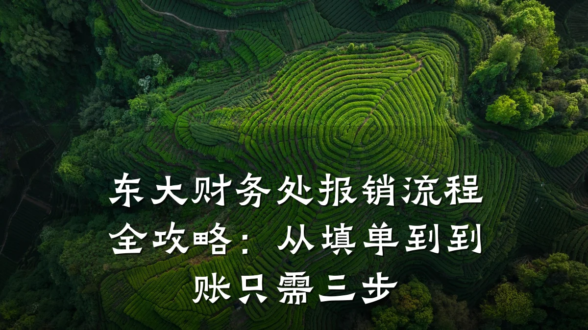 东大财务处报销流程全攻略：从填单到到账只需三步