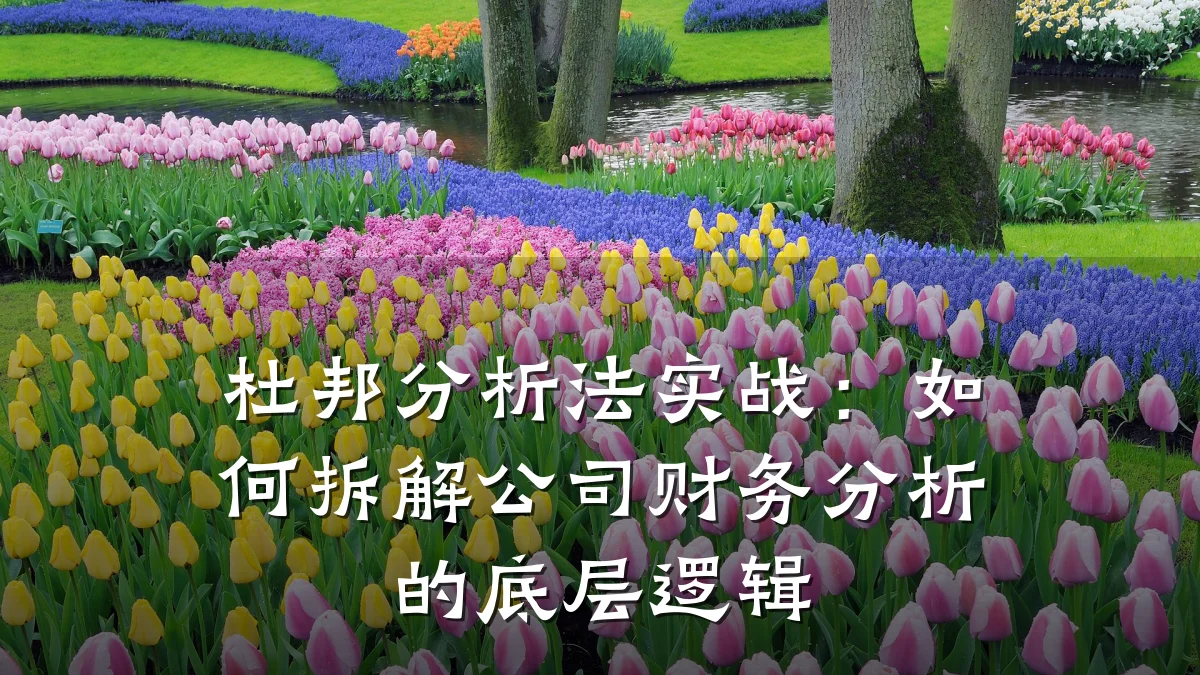 杜邦分析法实战:如何拆解公司财务分析的底层逻辑