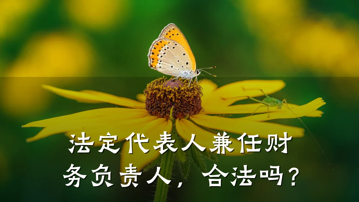 法定代表人兼任财务负责人,合法吗?