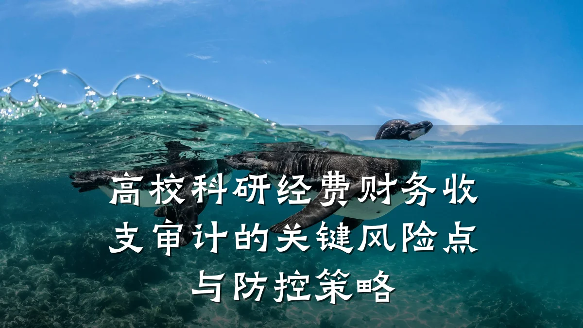高校科研经费财务收支审计的关键风险点与防控策略
