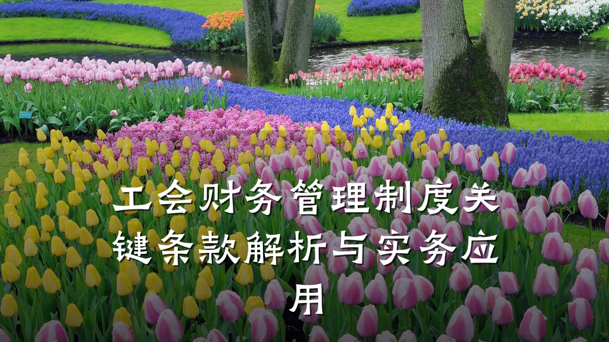 工会财务管理制度关键条款解析与实务应用