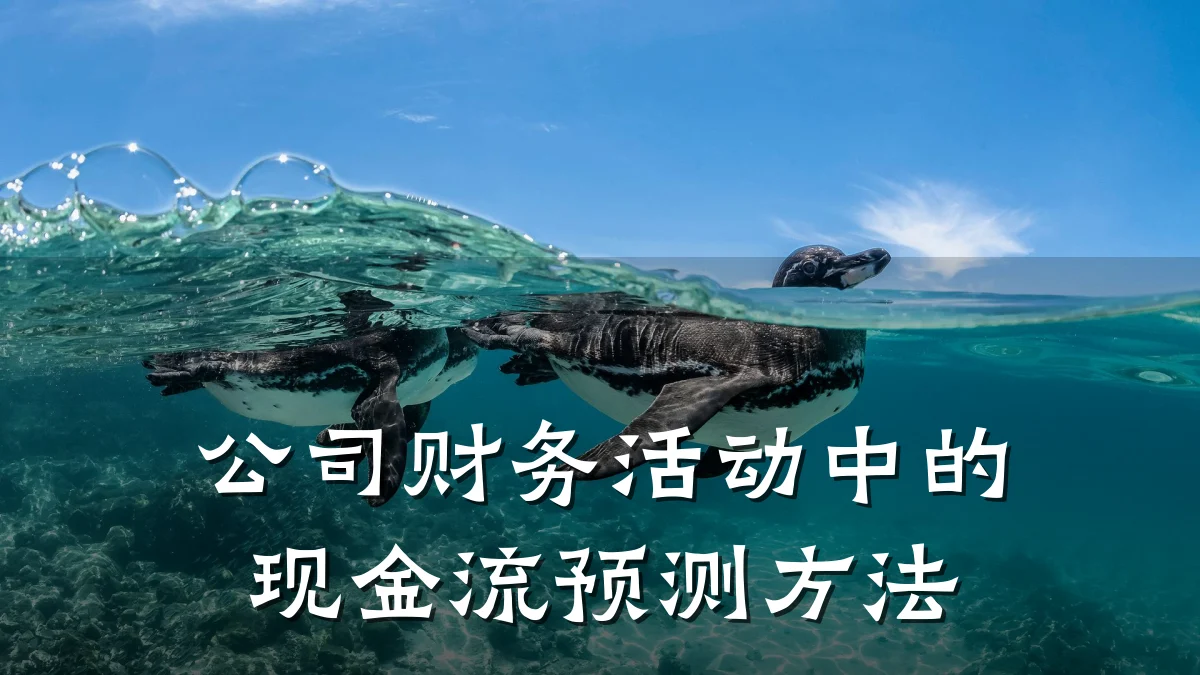 公司财务活动中的现金流预测方法