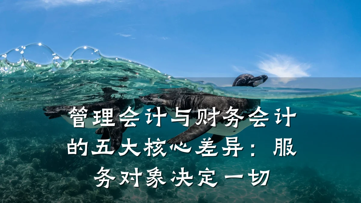 管理会计与财务会计的五大核心差异:服务对象决定一切
