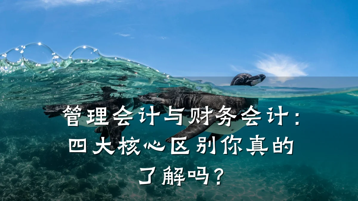 管理会计与财务会计:四大核心区别你真的了解吗?