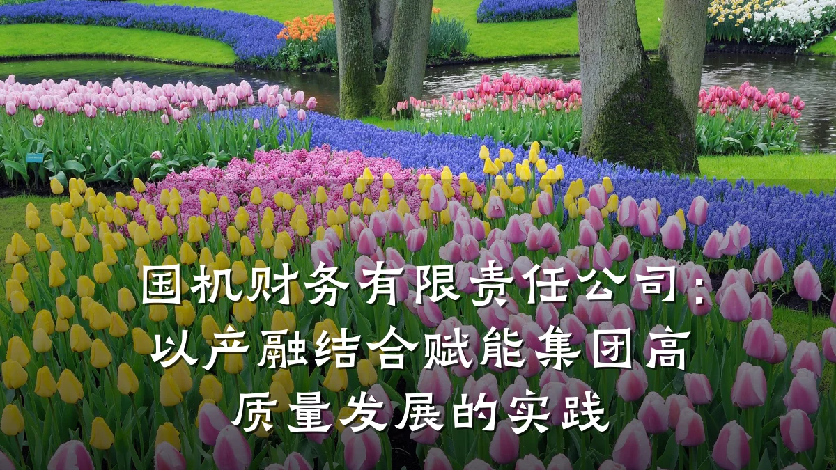 国机财务有限责任公司：以产融结合赋能集团高质量发展的实践