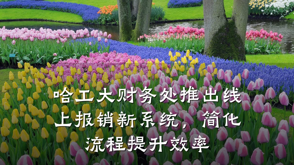 哈工大财务处推出线上报销新系统,简化流程提升效率