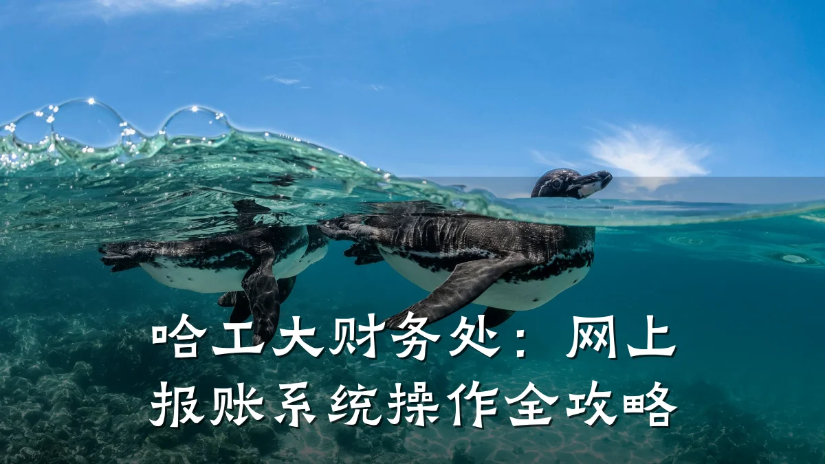 哈工大财务处：网上报账系统操作全攻略