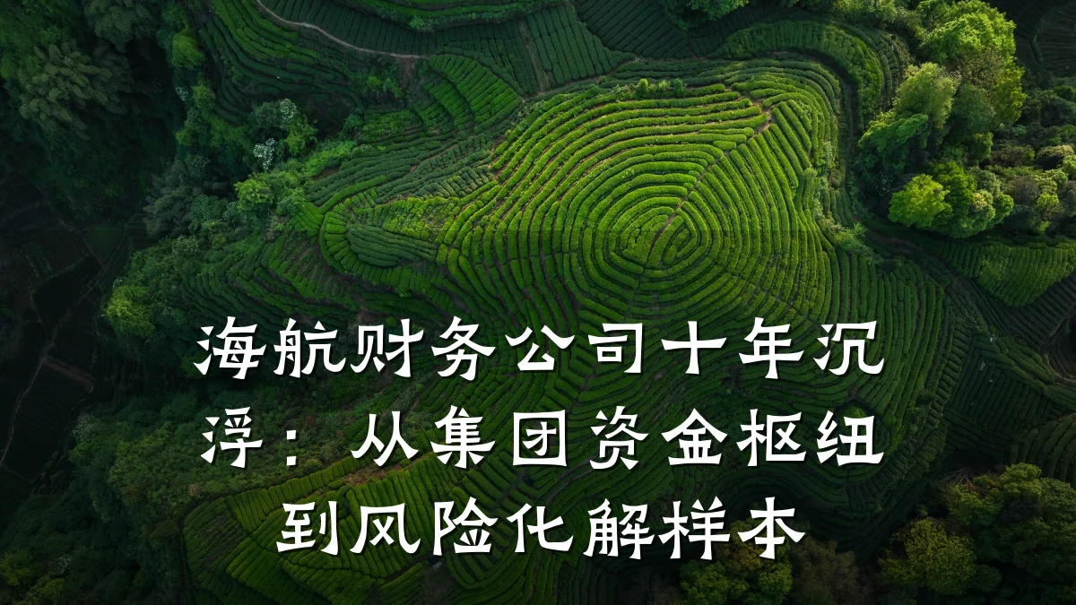 海航财务公司十年沉浮:从集团资金枢纽到风险化解样本