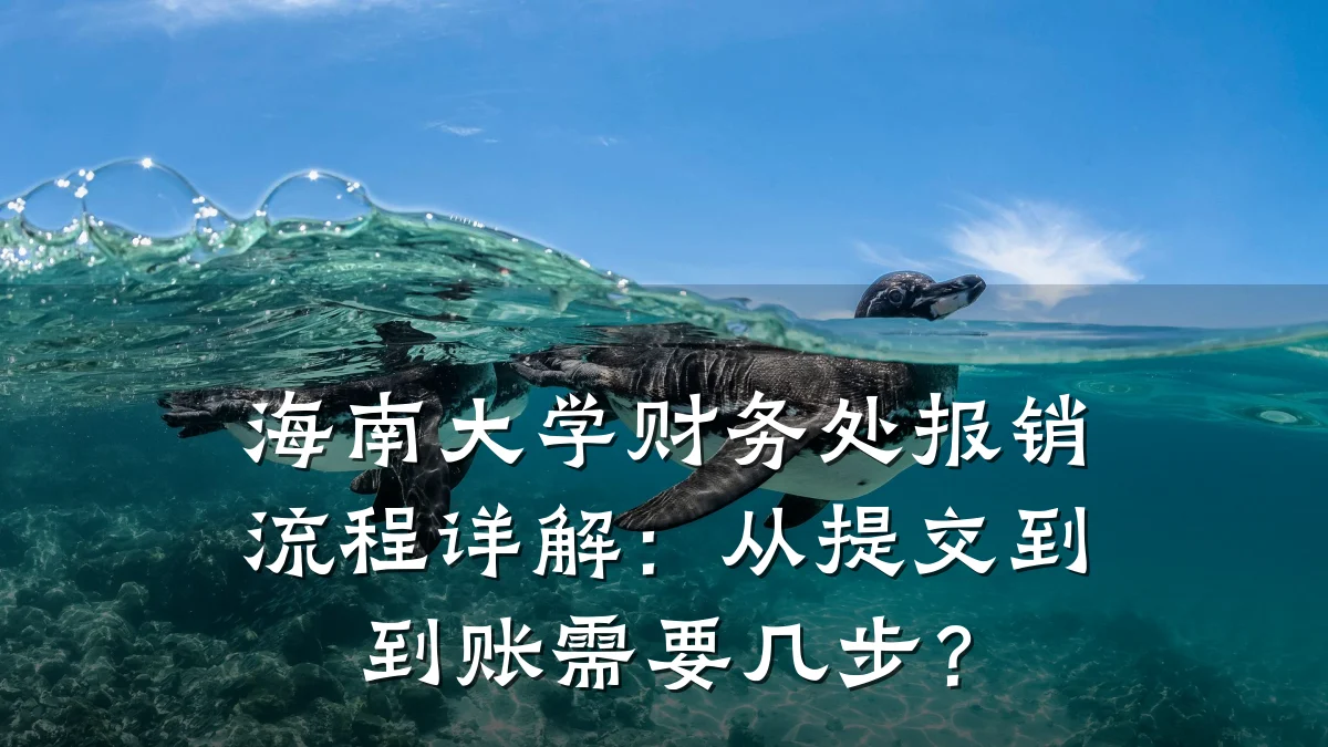 海南大学财务处报销流程详解:从提交到到账需要几步?