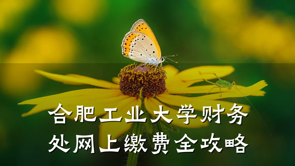 合肥工业大学财务处网上缴费全攻略