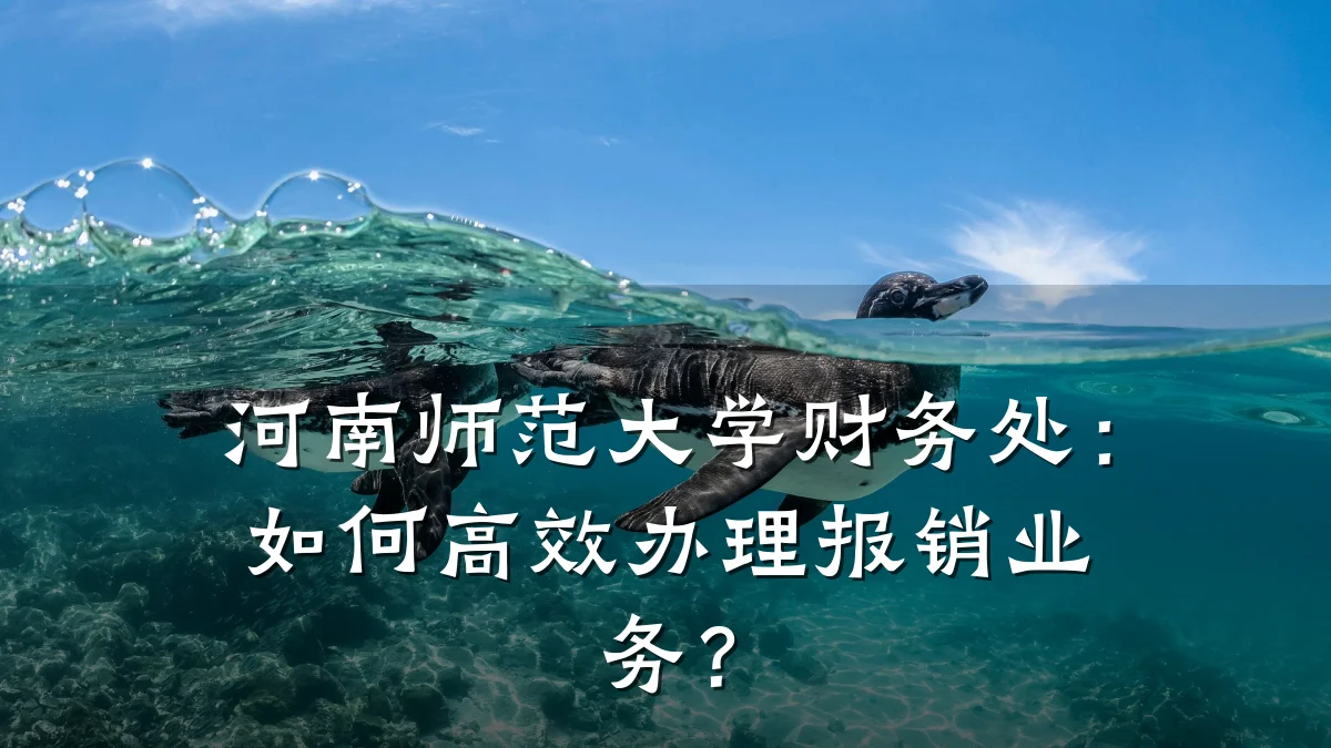 河南师范大学财务处:如何高效办理报销业务?