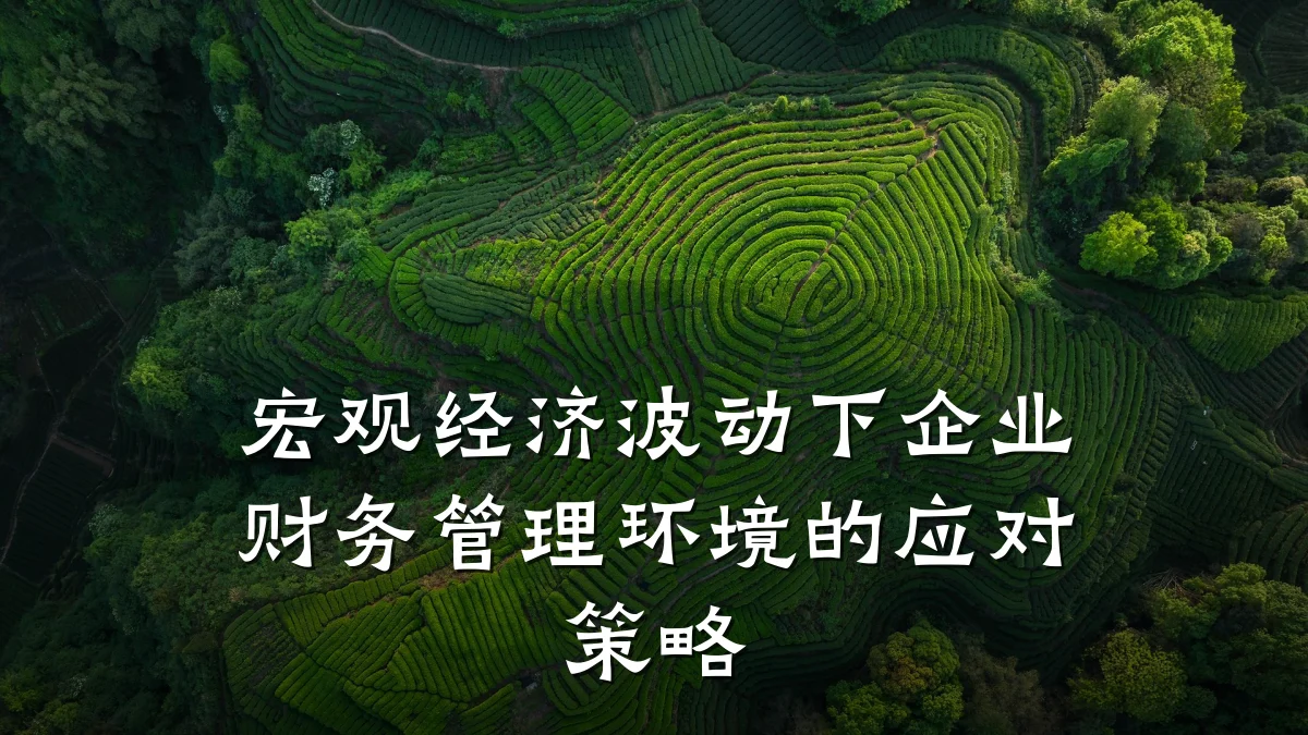 宏观经济波动下企业财务管理环境的应对策略