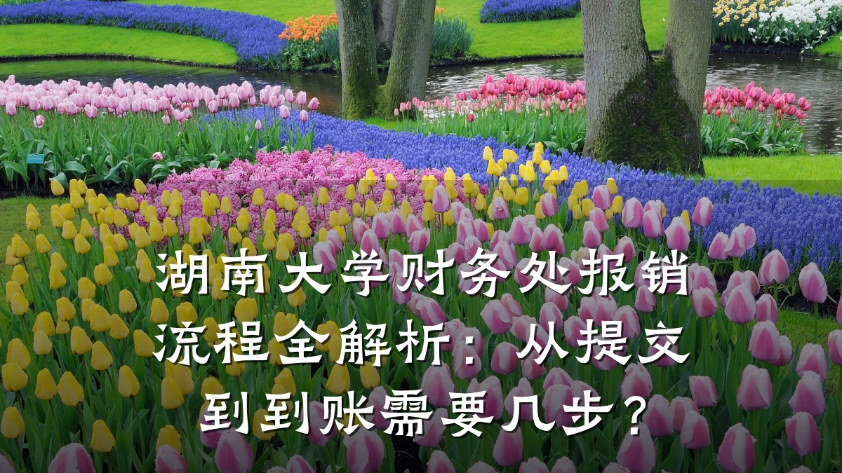 湖南大学财务处报销流程全解析：从提交到到账需要几步？