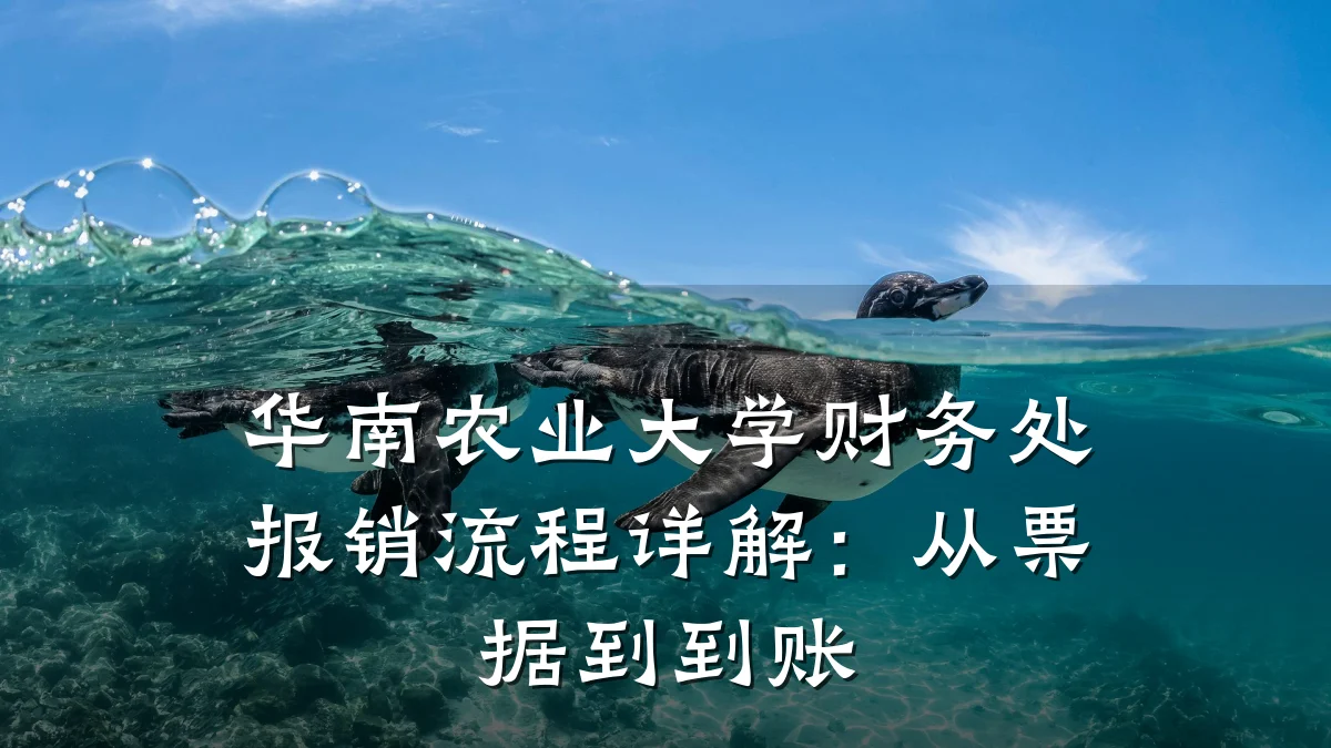 华南农业大学财务处报销流程详解:从票据到到账