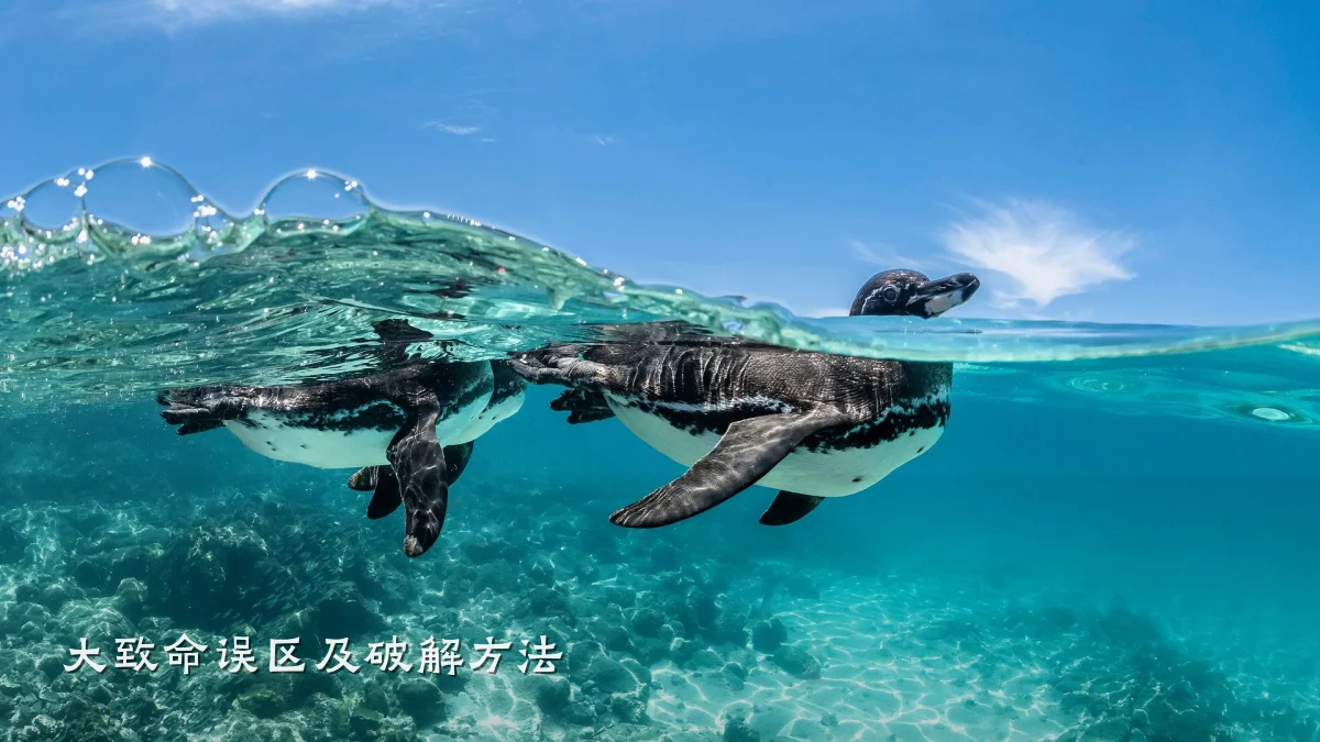 大致命误区及破解方法
