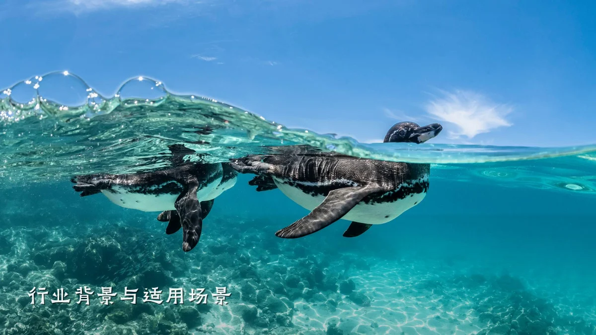行业背景与适用场景