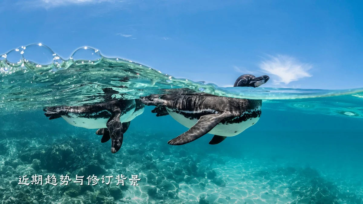 近期趋势与修订背景