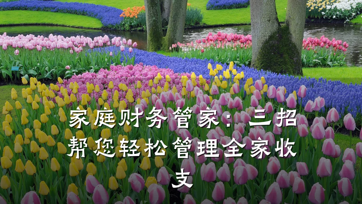 家庭财务管家：三招帮您轻松管理全家收支