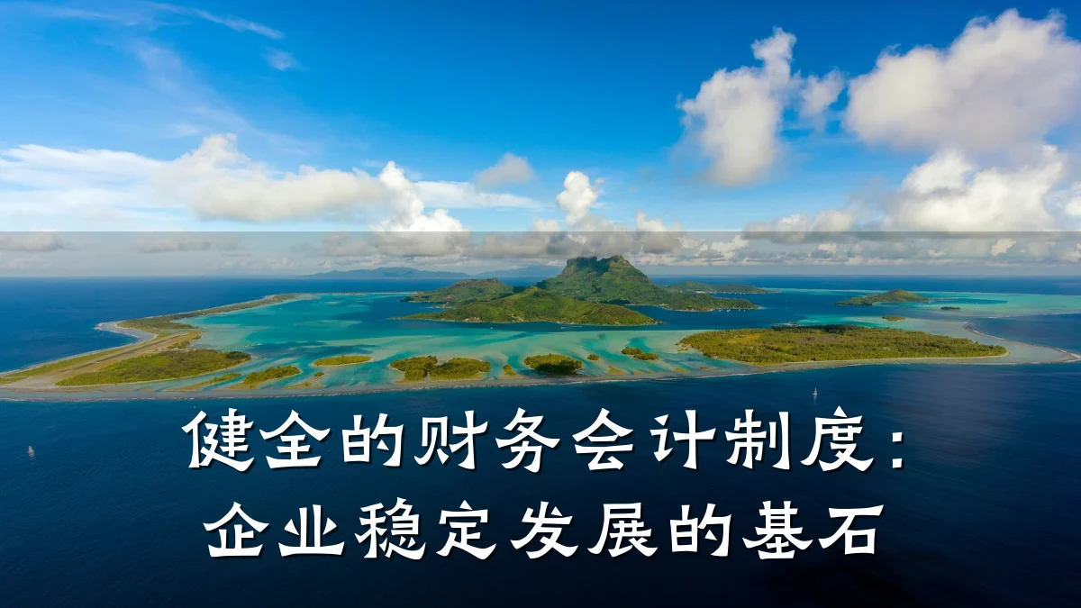 健全的财务会计制度:企业稳定发展的基石
