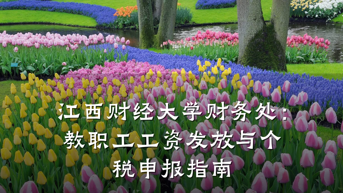 江西财经大学财务处:教职工工资发放与个税申报指南