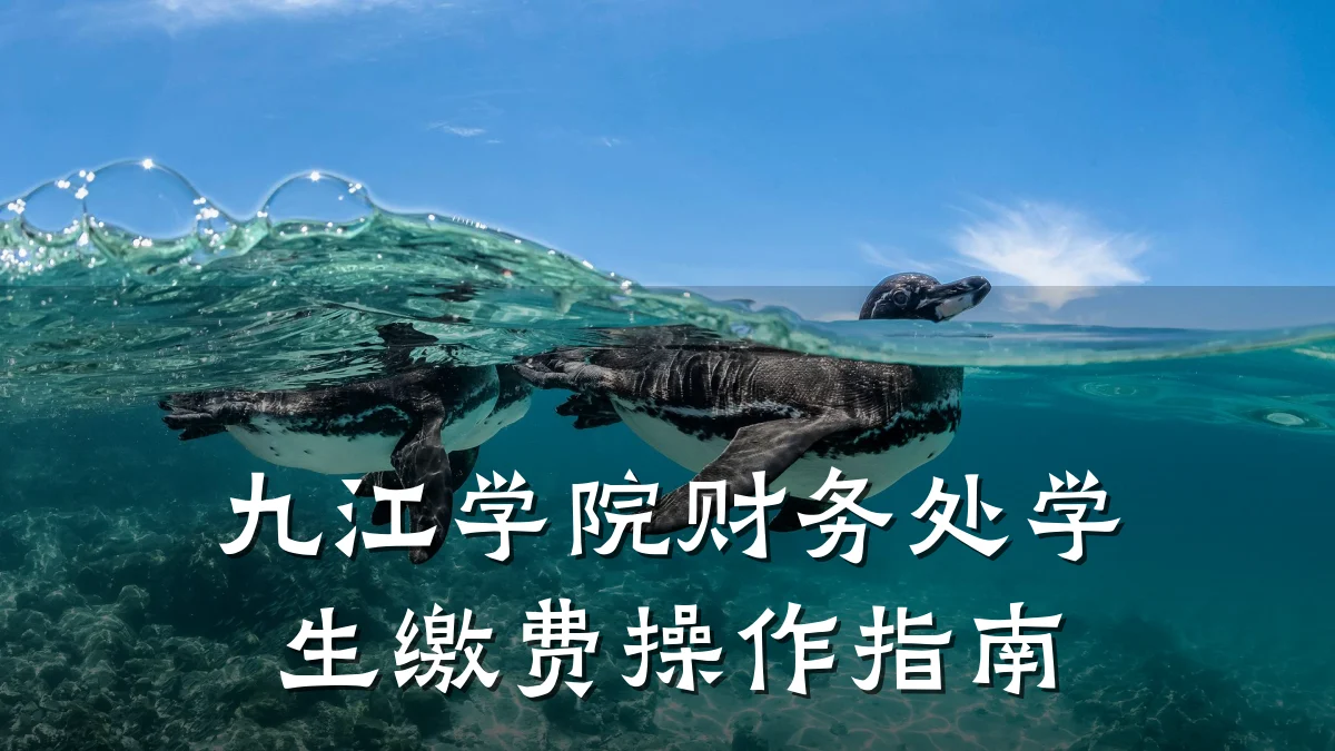 九江学院财务处学生缴费操作指南