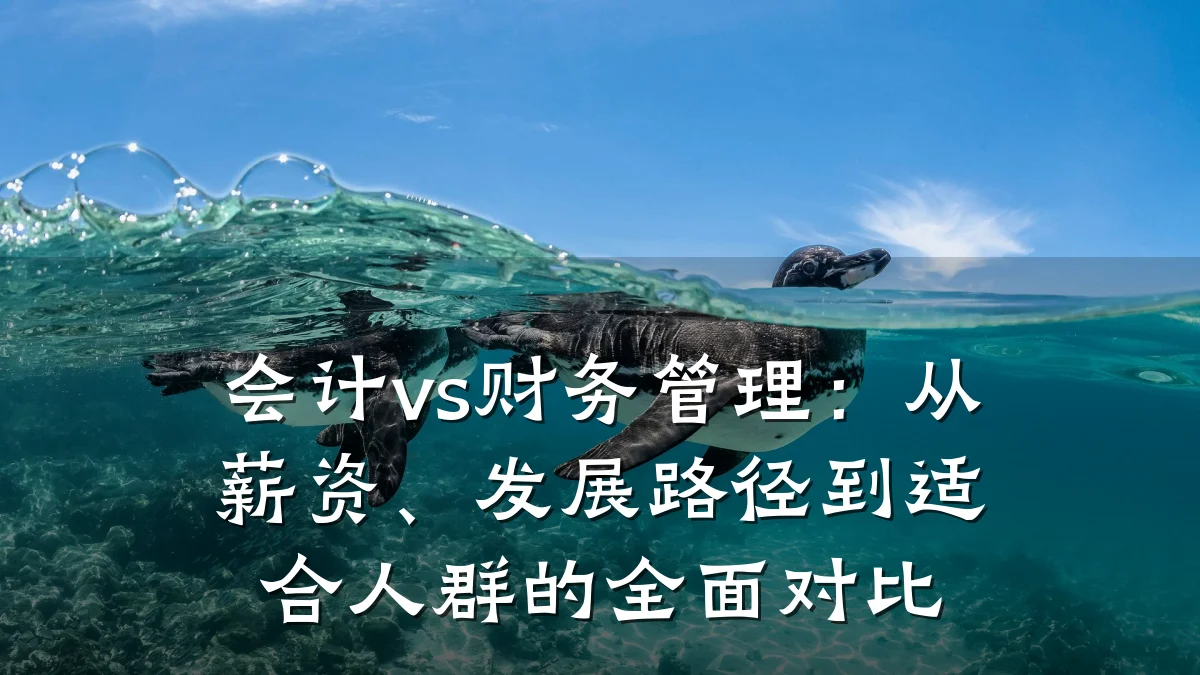 会计vs财务管理:从薪资、发展路径到适合人群的全面对比