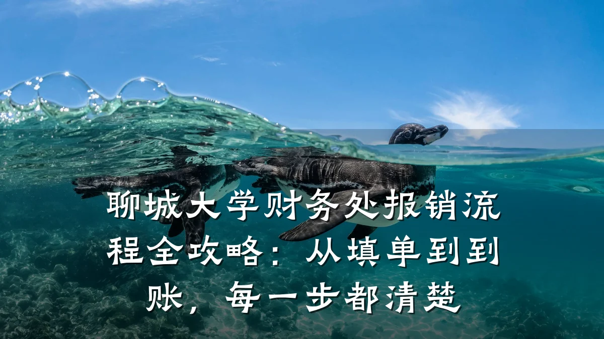聊城大学财务处报销流程全攻略：从填单到到账，每一步都清楚