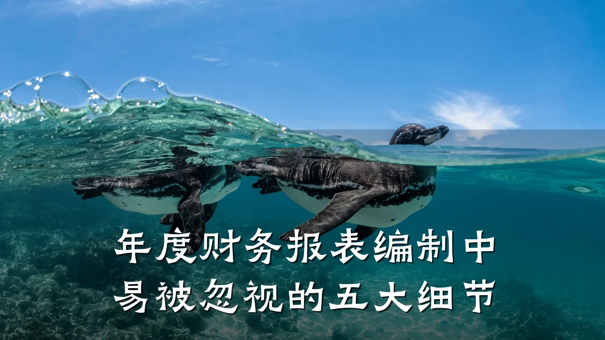年度财务报表编制中易被忽视的五大细节